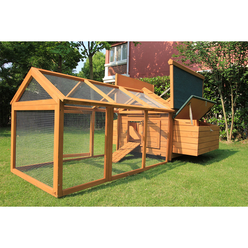 Tucker Murphy Pet™ Pets Imperial® Double Savoy Chicken Coop with 2 Nest